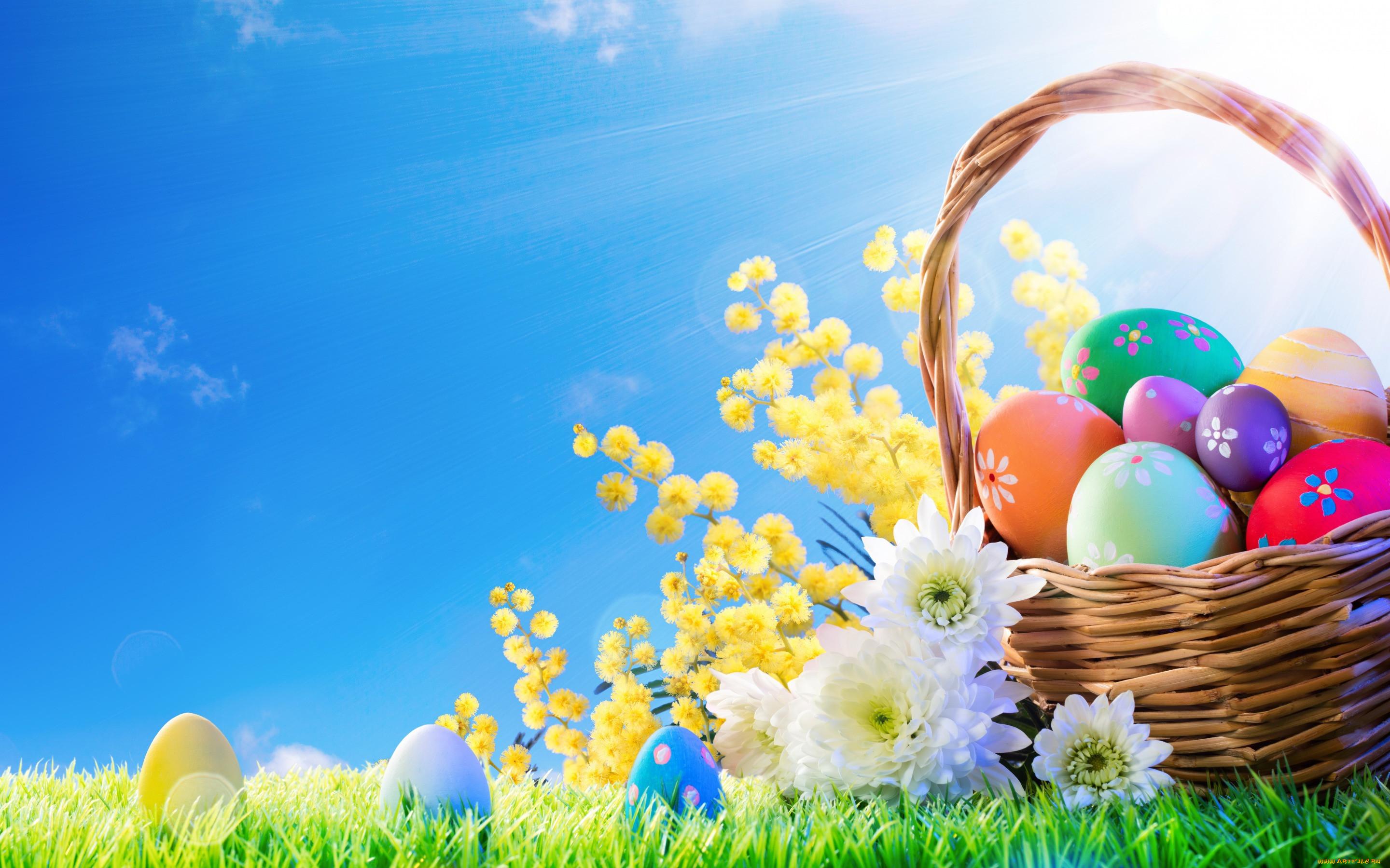 , , , , decoration, easter, , , flowers, , , eggs, spring, happy, 
